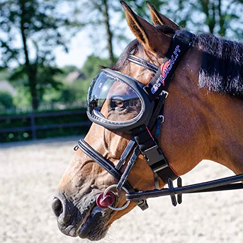 EQUICK Lunettes de Protection Chevaux eVysor pour Balade Randonnée
