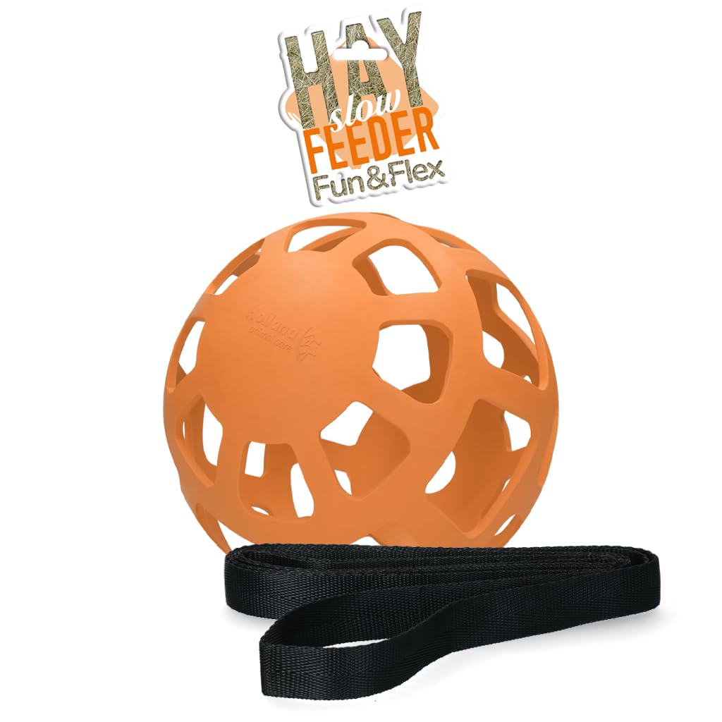 Holland Animal Care Hay Slowfeeder Fun&Flex Ø 22 cm – Fienone Cavallo – Adatto per animali da pascolo – Rete da fieno per cavalli – Contro il decadimento delle stalle – Fino a 1 kg di fieno – Verde