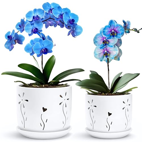 Thriving Thicket 2 Pack, 5 + 6 Inch White Orchid Pots with Holes and Saucer, Ceramic Orchid Planters for Repotting with Drainage Holes and Tray, Plant Flower Pot containers for Orchid Indoor Outdoor