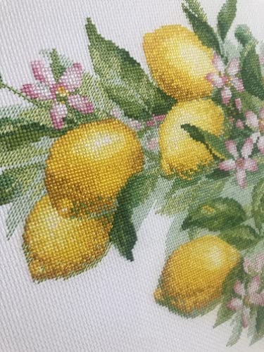 Image of RIOLIS - Bright Lemons 2054, Cross Stitch Kits 11 inch x 15 inch, Cross Stitch Kits for Beginners & Advanced, Crossstitching Kit Adult, Embroidery Counted Stitching Kit