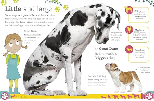 Dk 978-1-4654-7010-2 The Everything Book Of Dogs And Puppies thumb #7