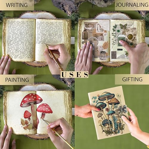 Vintage-Mushroom-Journal-Aesthetic-Botanical-Themed-Notebook-Beautiful-Retro-Book-of-Shadows-Journal-Sketchbook-Cute-Mushroom-Gifts-Women-Grimoire-200-Pages