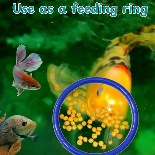 Image of Betta Fish Enrichment Toys Ring and Mirror , Floating Exercise Mirrors And Training Ring, Floating Mirrors Aquarium With Feeding Rings, Fish Toys, Betta Fish Tank Accessories (Blue+Mirror, 6.4cm)