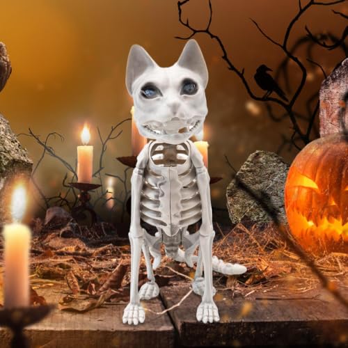 Squelette de chat d Halloween modèle de sculpture réaliste et durable - 8