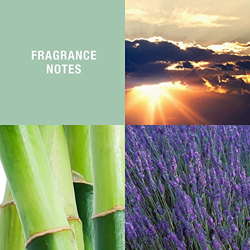 Curve Men's Cologne Fragrance Spray, Casual Cool Day Or Night Scent, Curve Wave, 4.2 Fl Oz #TOP1