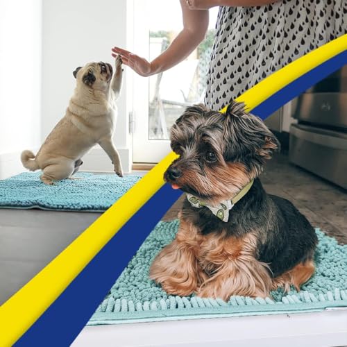 Muddy Mat® Original Dog Door Mat for Muddy Paws, Super Absorbent Microfiber, Non-Slip Washable Pet Rug, Quick Dry Chenille Entryway Carpet, Machine Washable Indoor Outdoor mat, Seafoam Green 48"x60"