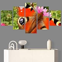 SIGNWIN 5 Panel Canvas Wall Art Open Wings for Home Decorations Ready to Hang - 60