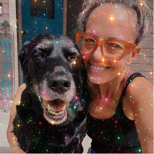 The Fairy Dogmother cover art