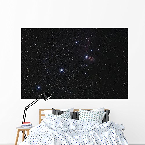 How big can ships get in starfield