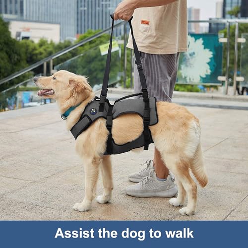 Coodeo Dog Lift Harness, Support & Recovery Sling, Pet Rehabilitation Lifts Vest Adjustable Breathable Straps for Old, Disabled, Joint Injuries, Arthritis, Paralysis Dogs Walk (Grey,XLarge) - Image 3