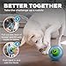 Outward Hound Nooks Peace Interactive Durable Treat-Dispensing Dog Toy, Stuffable Puzzle Ball for Solo Play or Pair with Large Snoop, Mint-Scented, BPA-Free