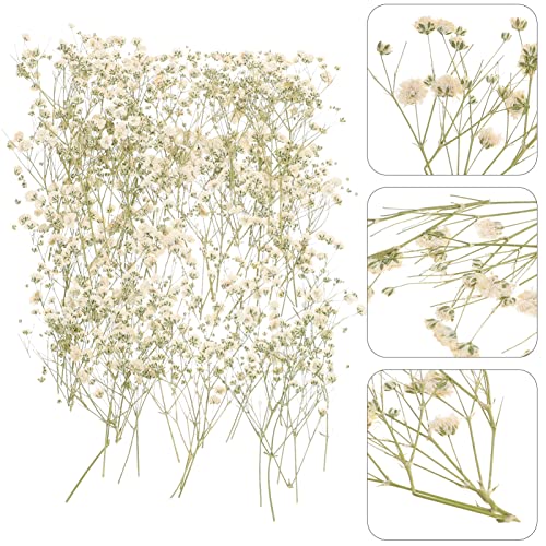 Ramo de flores secas para decoración del hogar miniatura 3