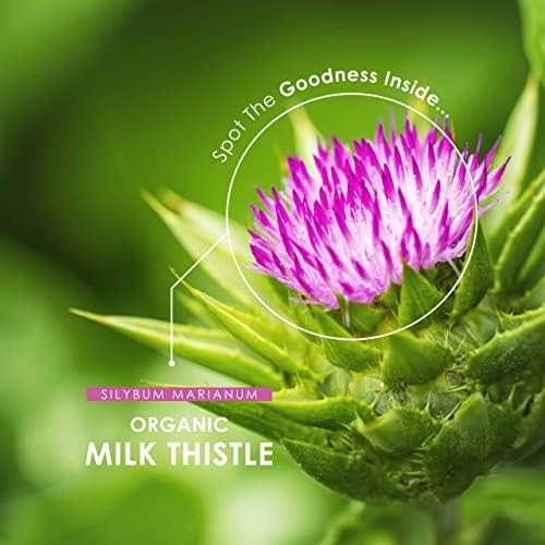 Organic Milk Thistle 1200mg  Silybum Marianum  Certified Organic, Non GMO, Gluten Free, Halal  120 Vegan Capsules