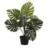 Medidas: 50cm DRW Set de 2 Plantas Artificiales Costilla de Adán de Polietileno y Tela en Verde 50cm