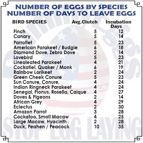 Miniatura 5 de Huevos de plástico simulados de loro mediano para control (2)! 1.5 x 1.25 pulgadas (1.5 x 1.2 in) de plástico sólido no tóxico falsos huevos de