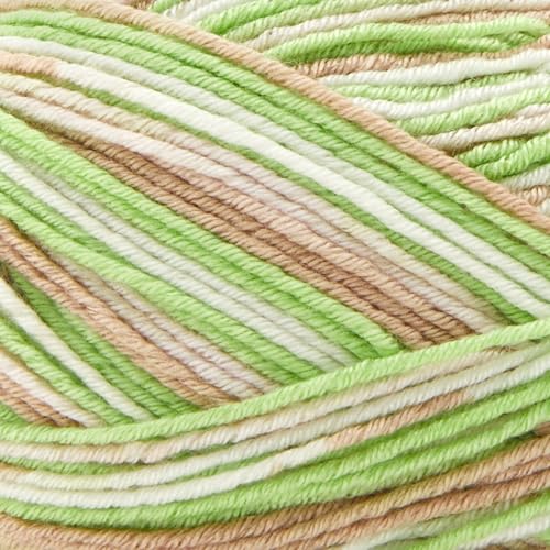Image of Premier Yarns Fruits, Acrylic Sock Yarn, 2-Pack Bundled with Bella's Crafts Stitch Markers (Kiwi)