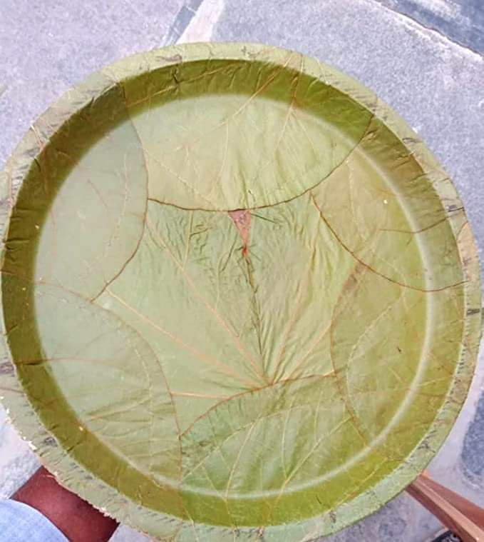 Brass Mart Natural Leaf Bowls Patravali Pattal Vistaraku Vistar Khali