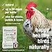HomeoPet Avian Nose Relief, Safe and Natural Bird and Chicken Supplement, 15 Milliliters