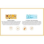 Serious Skincare Vitamin C Serum for Face, Anti-Aging Face Serum with Collagen, Vitamin E, Hydrating Skin Care for Brightening, Improve Appearance of Dark Spots, Tone, Fine Lines & Wrinkles 1 Fl Oz - Image 2