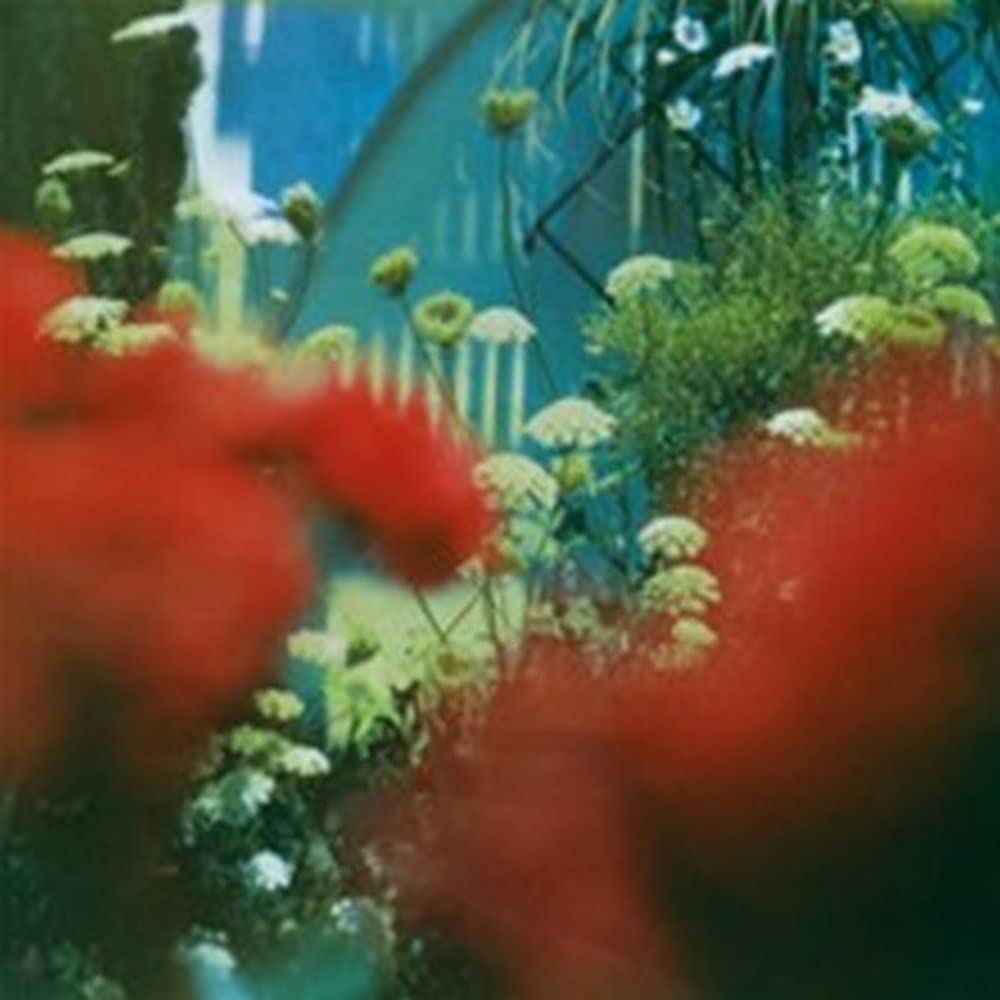 PULLED APART BY HORSES - The Haze - Vinyl (gatefold LP)