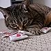 Petlinks (3 Set) Tea Zing Catnip Cat Toys - Randomly Selected Color, 3 Set