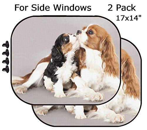MSD Car Sun Shade - Side Window Sunshade Universal Fit 2 Pack - Block Sun Glare, UV and Heat for Baby and Pet - Image ID: 12195265 Litter of Cavalier King Charles Spaniel Monter and Puppy