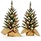 2x 60cm Artificial Mini Christmas Trees with Colour Select Lights - 2ft Indoor Battery Operated LED Green Xmas Tree - Jute Hessian Base Bag 60cm 2 Pack Trees (Pinecones & Berries)