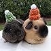 Crochet Winter Hats for Guinea Pigs, Bunnies, Gerbils, Hamsters, Chinchillas, and Other Small Pets (Blushing Pink)