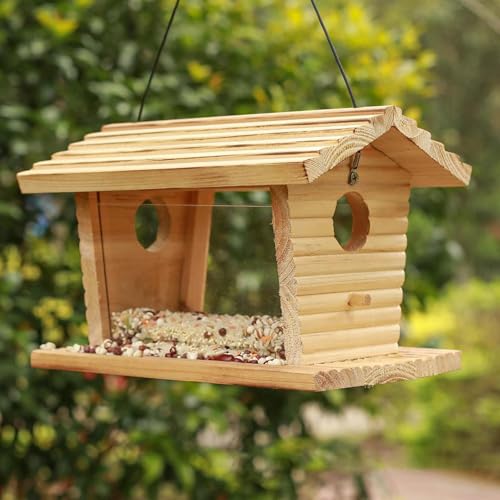 Mangeoire à oiseaux anti-écureuils pour protéger les graines - 4