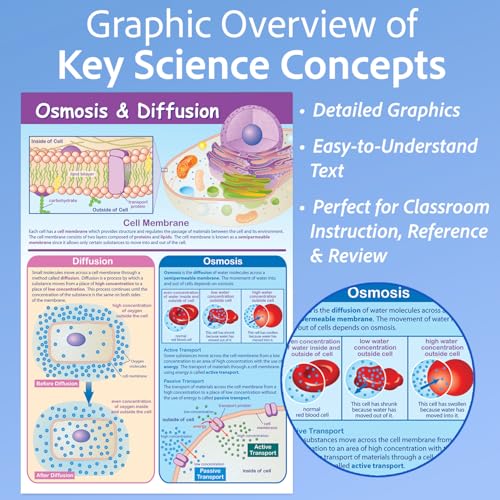 Poster Osmosis and Diffusion grand format pour décorer une salle de science