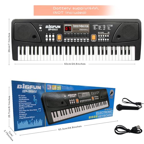 Raimy Piano Keyboard for Beginners, 61 Keys Portable Electronic Digital Piano with Microphone, Learning Educational Music Keyboard Piano for Kids Gifts Toys for Boys Girls Toddlers (Black)