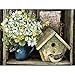 Lang Birdhouse & Fence Deluxe Note Card Set (2080518)