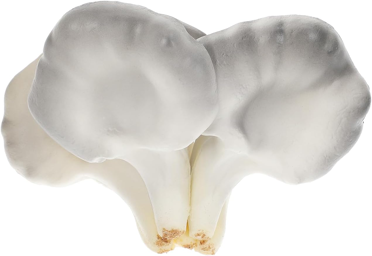 Faux Oyster Mushroom Figurine Realistic Mushroom Model Artificial Ornament for Dollhouse Decor Photo Prop Craft Projects Children S Learning Toy 5.51 X 4.33 X 3.54 in