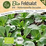 Little Plants BIO Feldsalat Samen 500 Feldsalatsamen Vit Gemüsesamen Salatsamen für Gemüsegarten Samenfest Gemüse Samen für Küche, Balkon und Garten