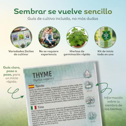 Miniatura 3 de Nojus Semillas De Hierbas 15 Variedades Planta, Semillas De Cocina, Set De Plantas Aromáticas Para Huerto Y Jardín