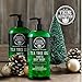 Viking Revolution Tea Tree Oil Body Wash Soap for Men - Helps Athlete's Foot, Toenail, Jock Itch, Eczema, Ringworm & Body Odors - Extra Strength Men's Body Wash (2 Pack)