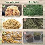Riare sphaigne naturelle 150 g pour terrarium humide photo 5