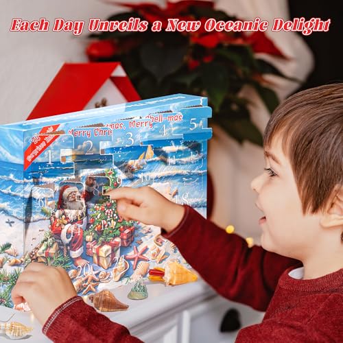 Advent Calendar 2025 Crystals for Kids with 24 Days Christmas Countdown, Natural Rock Stones & Minerals for Exploring, Learning, Scientific Xmas Gift for Girls & Boys (Seashell Advent Calendar) - Image 2