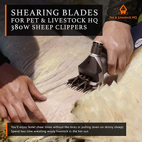 Pet & Livestock HQ | Shearing Blades 380W Sheep Clippers – Replacement for Oster, Lister, Heiniger, Detachable Animal Trimmer Shears for Grooming Goats, Lambs, Llamas, Alpacas Pet & Livestock HQ | Shearing Blades 380W Sheep Clippers – Replacement for Oster, Lister, Heiniger, Detachable Animal Trimmer Shears for Grooming Goats, Lambs, Llamas, Alpacas