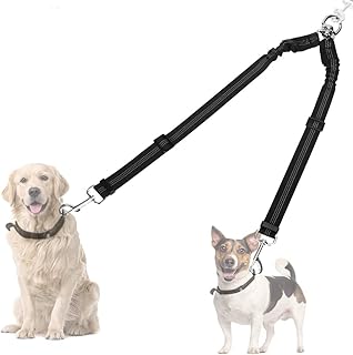 dog leads amazon