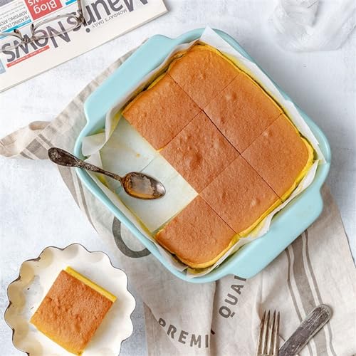 Bandeja rectangular para hornear lasaña y repostería en horno casero 5