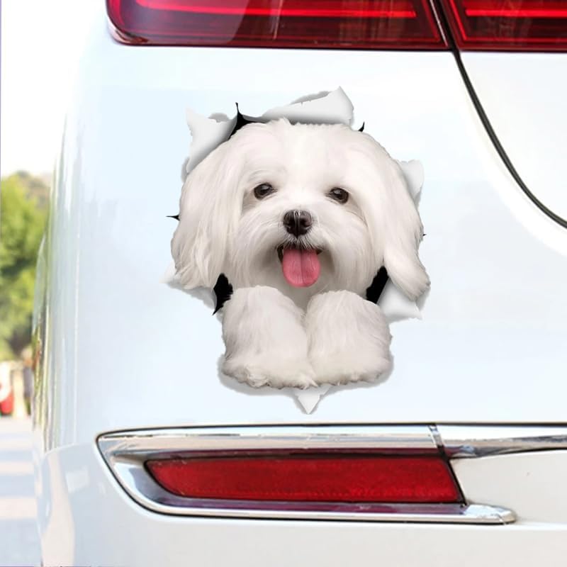 2pcs Cute White Bichon Frise Dog Vinyl Car Decal 4.92"x5.91", Lovely Dog Sticker for Car, RV, Toolbox, Refrigerator, Ideal Pet Gift |#DK220 - Image 3
