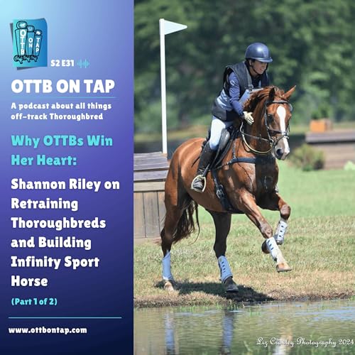 S2 E31: Why OTTBs Win Her Heart: Shannon Riley on Retraining Thoroughbreds and Building Infinity Sport Horse