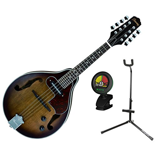 Best Mandolins for Beginners 2024 Subject To Review