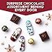 Fannie May Advent Calendar 2025, Holiday Premium Chocolate Candy Assortment, Great for Gifting, 8 oz