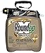 Roundup 5725070 Extended Control Weed and Grass Killer Plus Weed Preventer II Ready-to-Use Pump 'N Go Sprayer, 1.33 Gallon