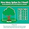 Miracle-Gro Tree and Shrub Plant Food Spikes - Deciduous, Flowering & Evergreen Tree Fertilizer Spikes, Hydrangeas, and Acid-Loving Plants, 12 Count, 3 lb. #4