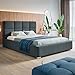 Produktbild MOTIVENA Luna Polsterbett 120x200 mit Bettkasten, Bett 120x200 mit Lattenrost, Bett 120x200 mit Stauraum, Stauraumbett 120x200, mit Kopfteil, ohne Matratze, Samt, Grau (Anthrazit)