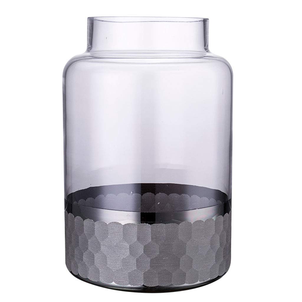 Vases en verre transparent noir style hydroponique pour la décoration de table de salon taille B