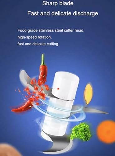 Portable Vegetable Chopper 250Ml, Wireless Mini Chopper For Kitchen, Garlic Mincer Food Processor For Chopping And Slicing Onion Ginger Veggies Spice Baby Food, Usb Rechargeable #TOP7